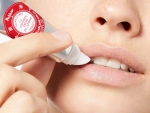 Bálsamo de labios La Véritable Crème de Laponie de Polaar